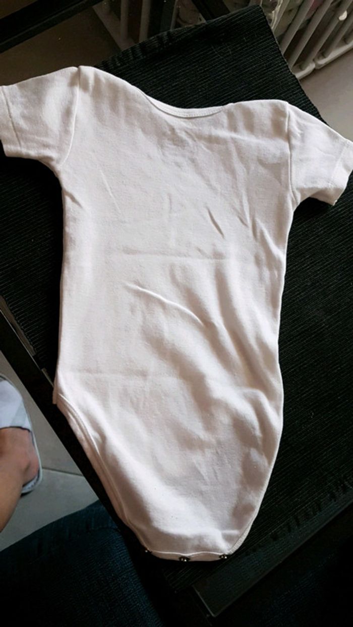 Body absorba - photo numéro 5