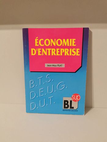 Économie d'entreprise