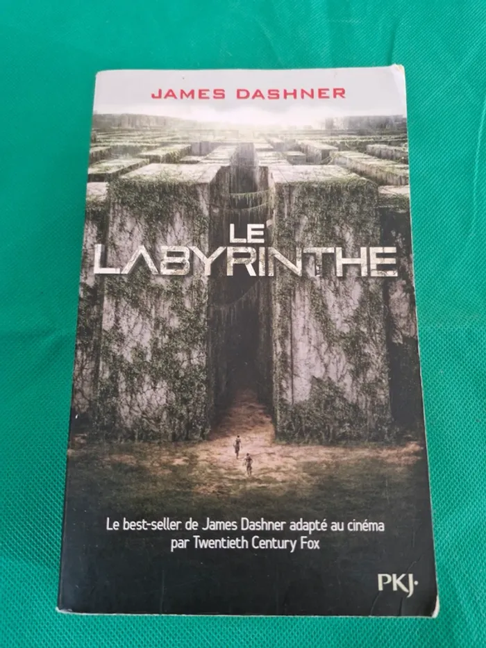 Le labyrinthe L'épreuve Livre 1 James Dashner