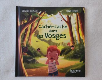 Livre  "Cache-cache dans les Vosges" collection Mc Donalds éditions Hachette Jeunesse  de Virginie Grimaldi