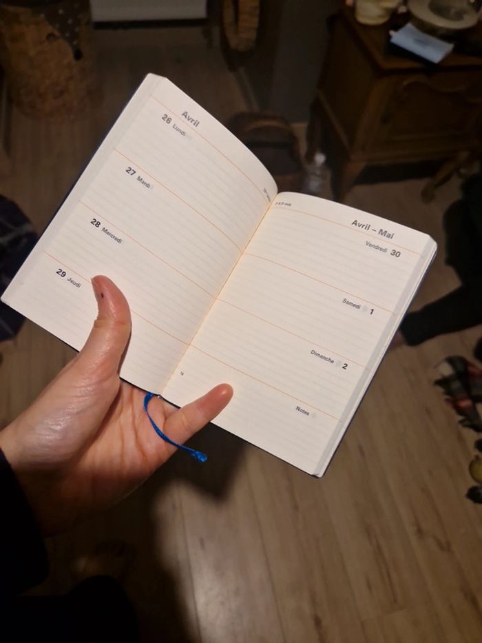 Carnet agenda vintage 1971 - photo numéro 3