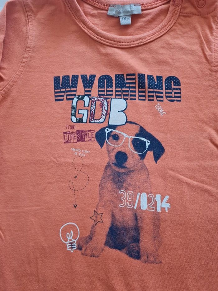 T-shirt ML 18 mois Grain de blé - photo numéro 2