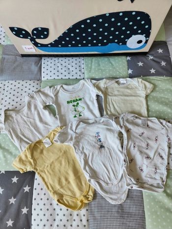 Lot de 6 bodies 3 mois manches courtes