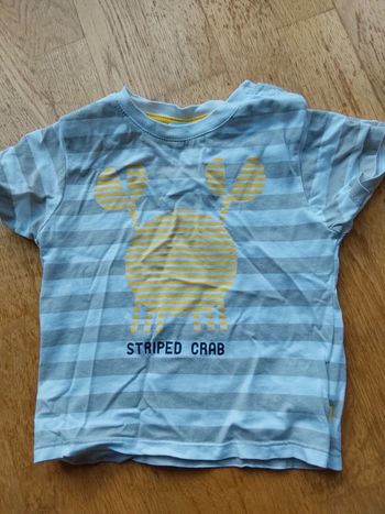 Tee-shirt manches courtes crabe