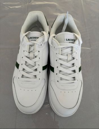 Basket Lacoste