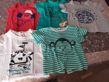 Lot 5 tee shirt 9 mois du pareil au même