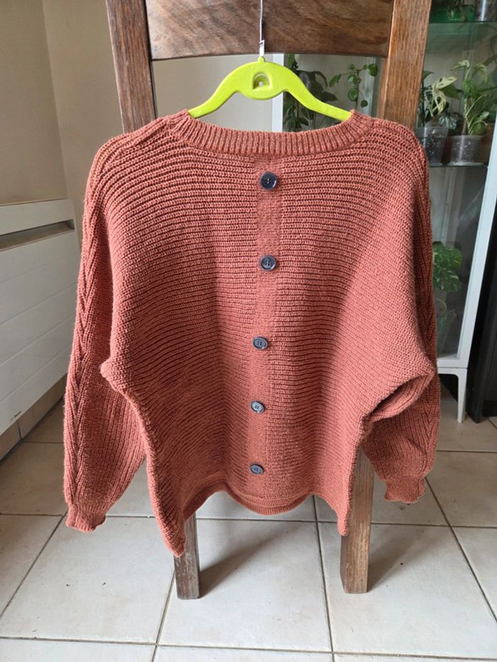 Pull camel - photo numéro 2