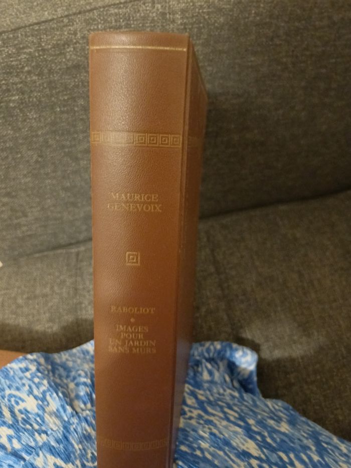 Livre Raboliot