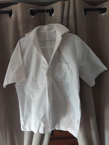 Chemisette pierre cardin