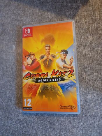 Cobra kai Nintendo switch