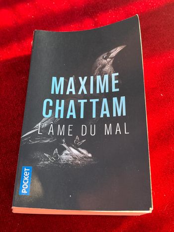 Livre L' Ame du Mal