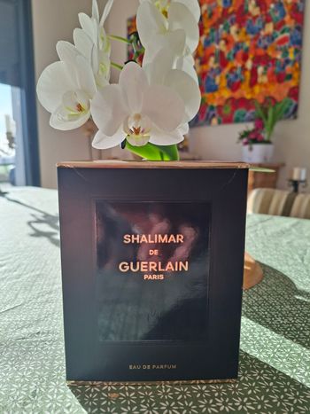 Neuf - Parfum Shalimar 90 ml Guerlain