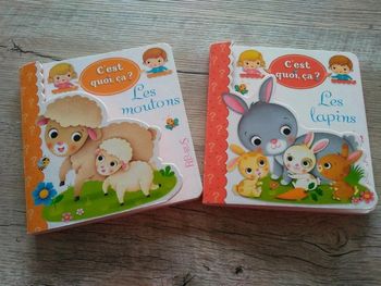 Livres " C'est quoi ça? "