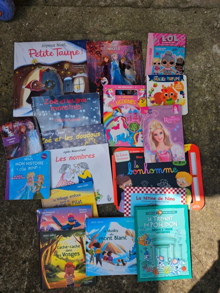 Gros lot de livre