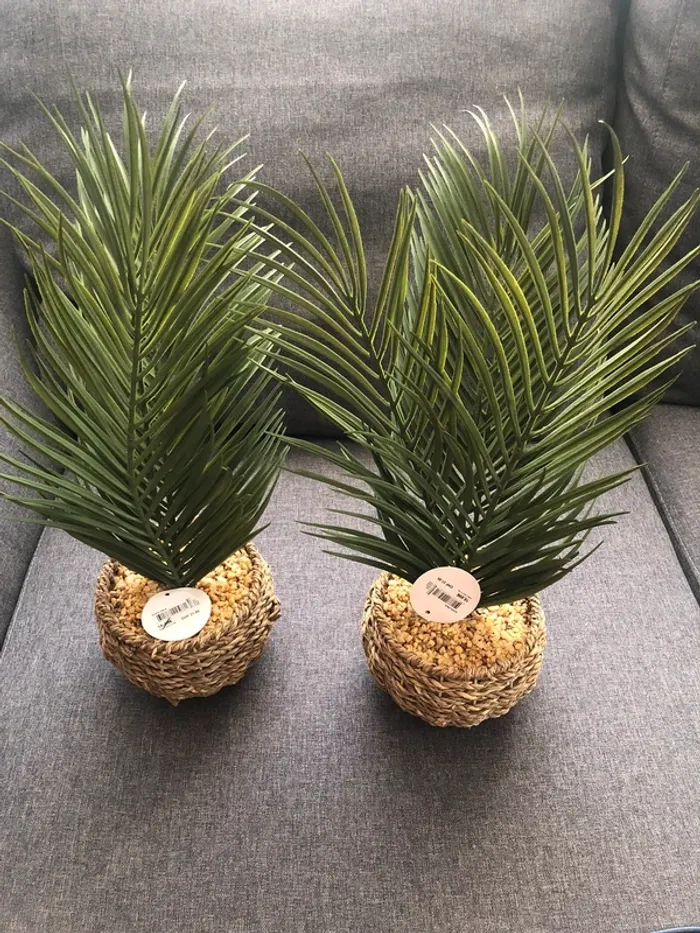 Lot de 2 Plantes vertes artificielles, Maison du monde