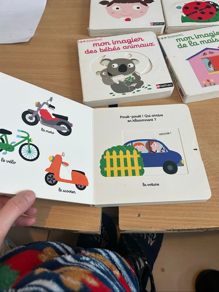 14 livres à volets - photo numéro 3