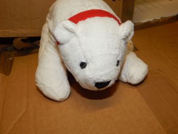 peluche ours polaire 