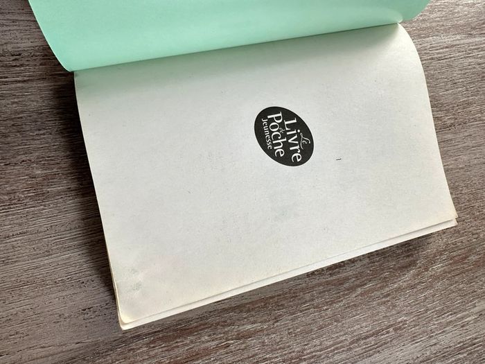 Livre « Mille baisers pour un garçon » Tillie Cole - photo numéro 6