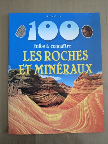 Livre 100 infos sur les roches et minéraux 