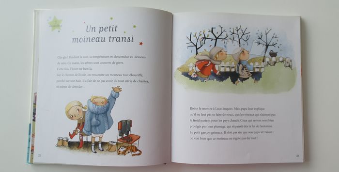Livre 24 histoires pour attendre Noël avec les petits - photo numéro 2