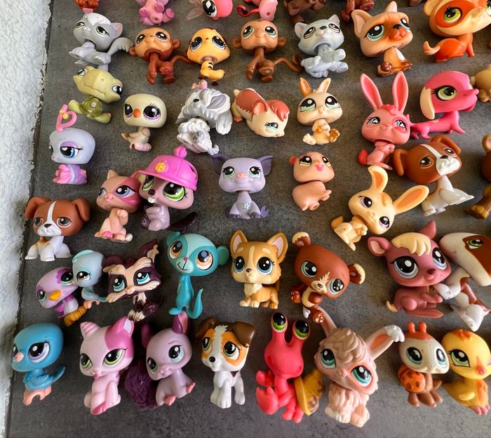 Little Petshop - photo numéro 6