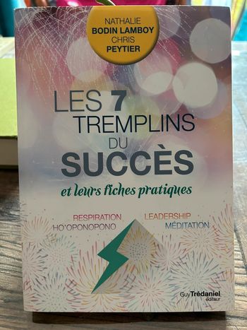Livre - les 7 tremplins du succès