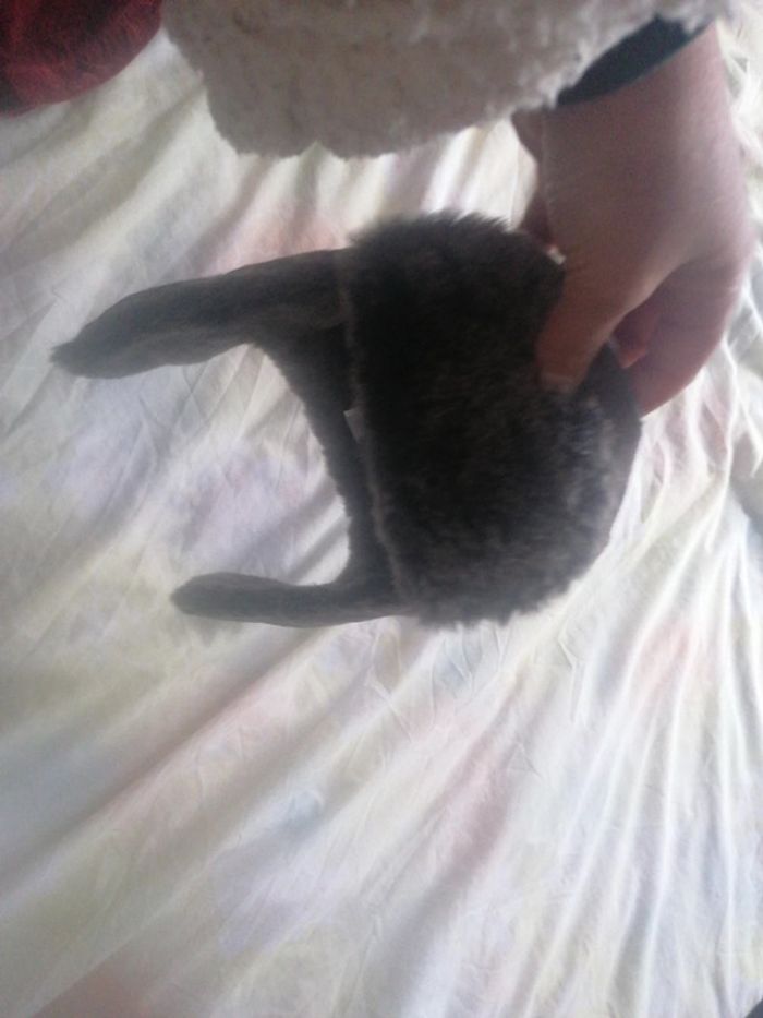 Bonnet 53 - photo numéro 5