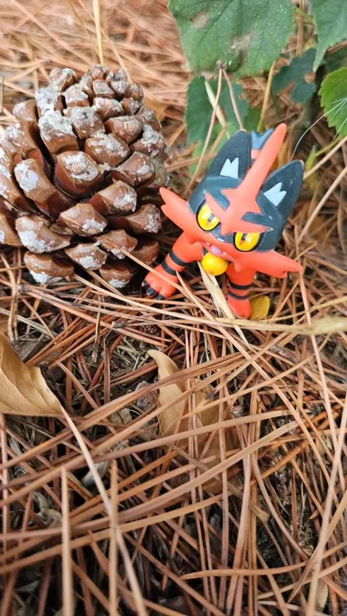 Super figurine Pokemon Nintendo Matoufeu - photo numéro 3