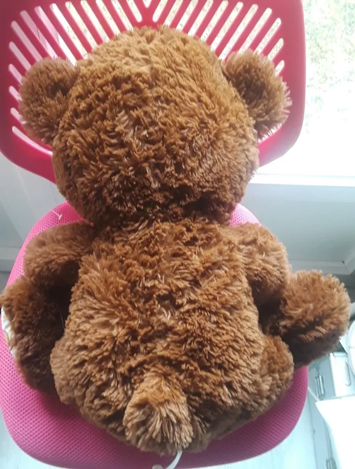 Nounours - photo numéro 6