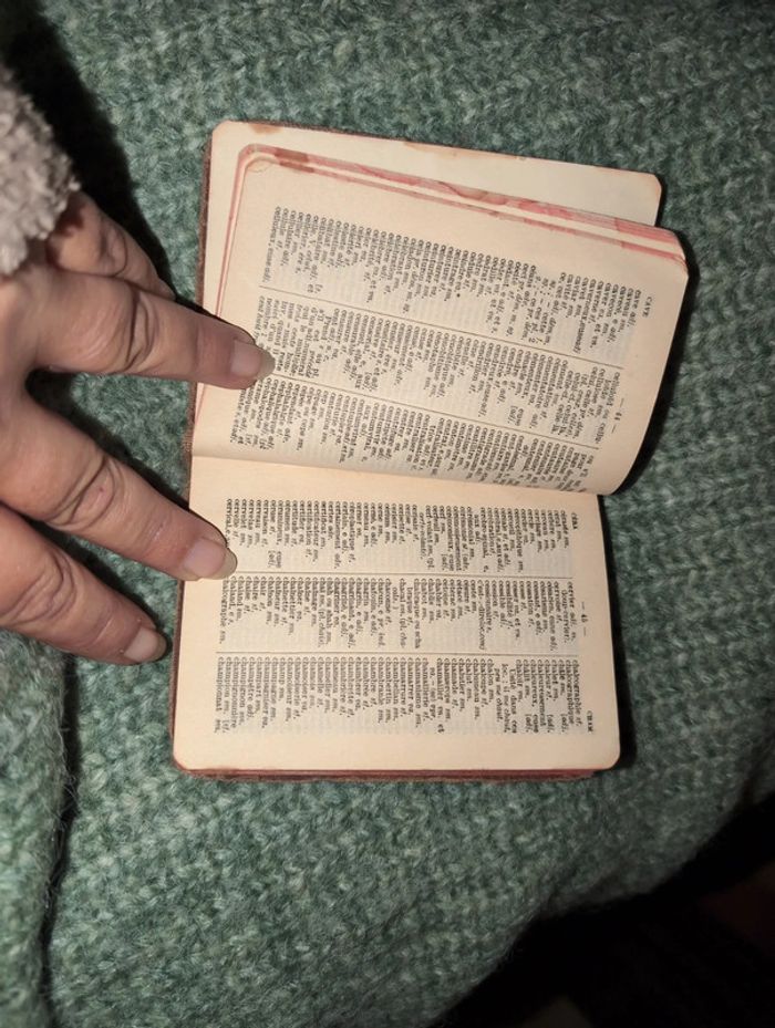 Dictionnaire - photo numéro 3