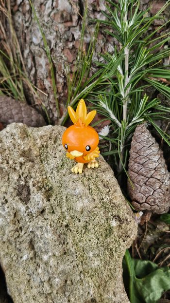 Super figurine Pokemon nintendo tomy Poussifeu 