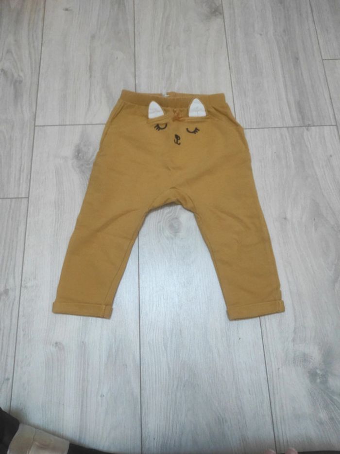 Sarouel orchestra chat moutarde 18m