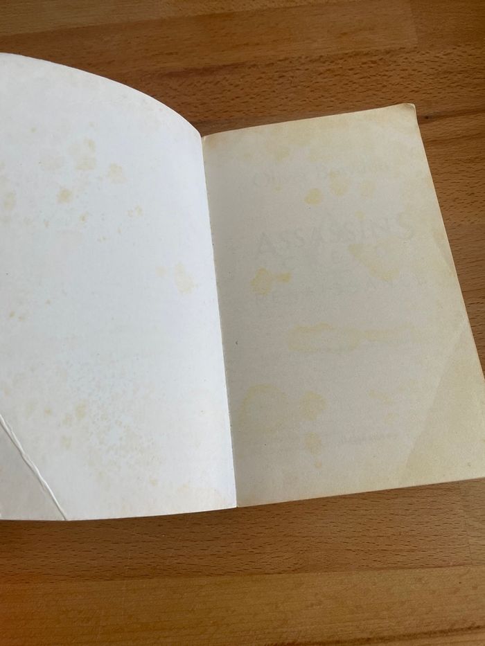 Assassin’s creed - photo numéro 2