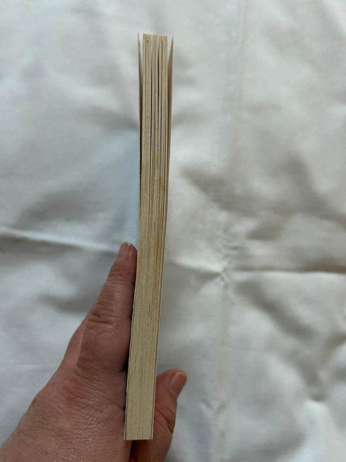 Livre Mes pires vacances super chouettes - photo numéro 6