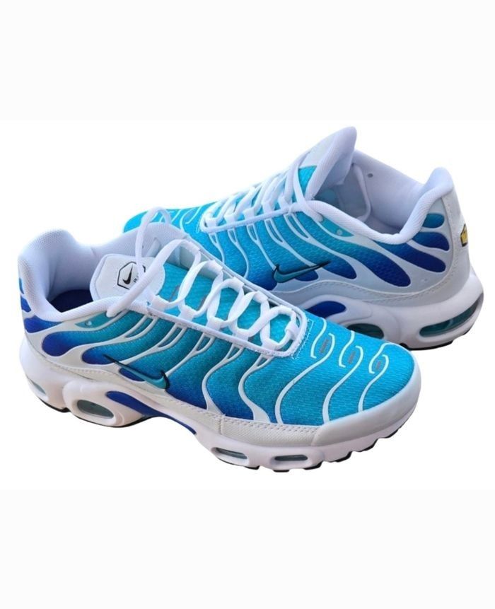 Nike Tn homme bleu dégradé T.43
