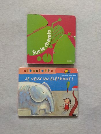Lot livres cartonnés