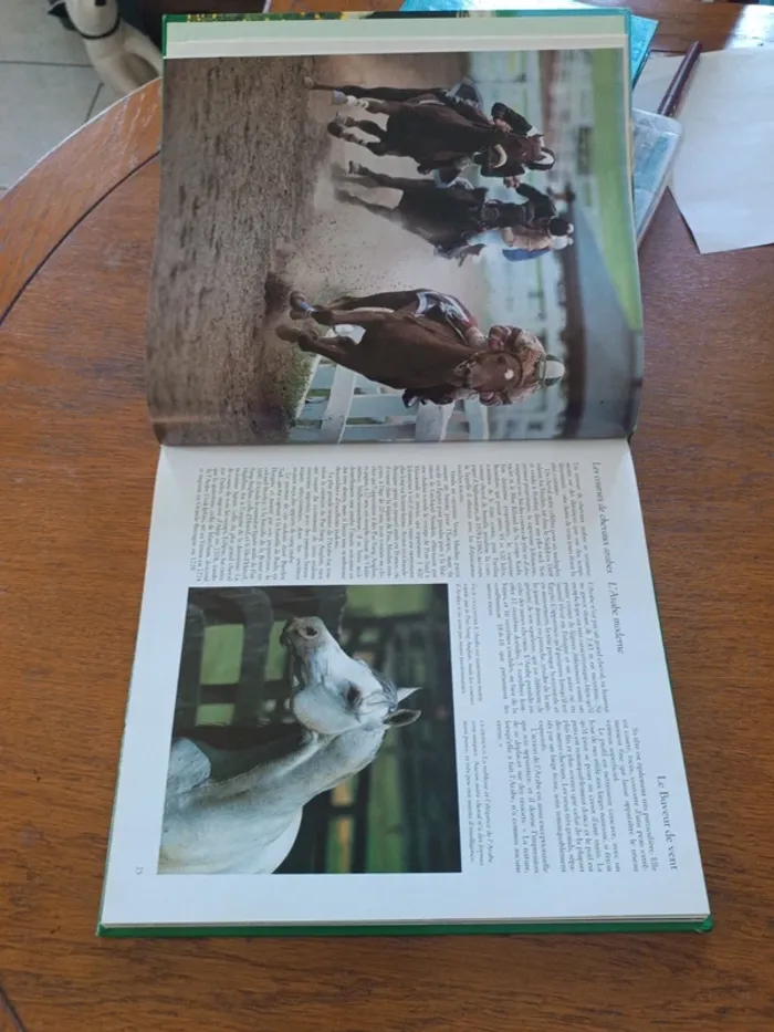 Le royaume des chevaux - photo numéro 3