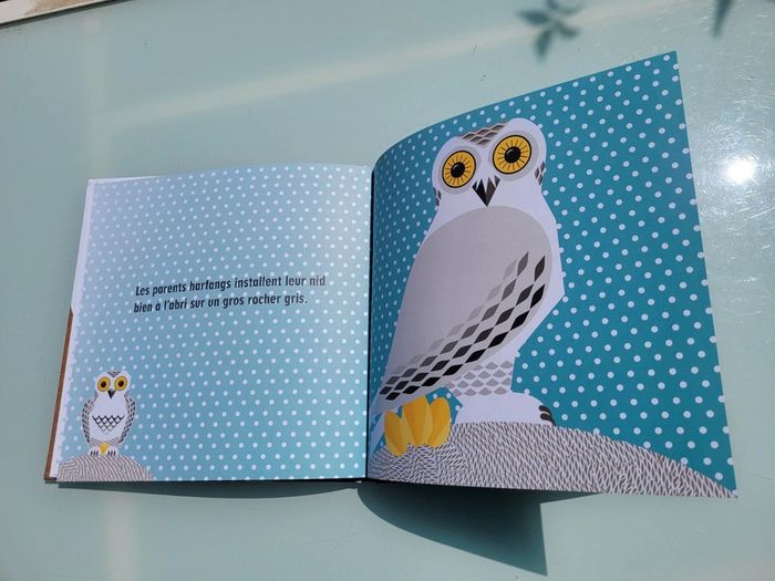 Livre animé 🦭 La Famille Pôles 🐧 - photo numéro 7