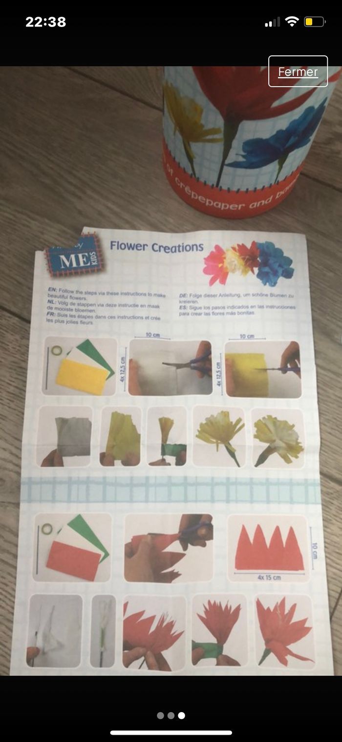 Crée tes propres fleurs 🌹 - photo numéro 3