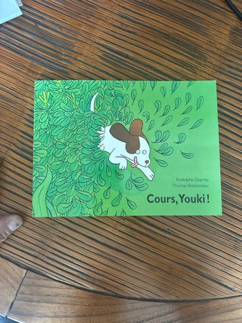 Livre : Cours Youki !