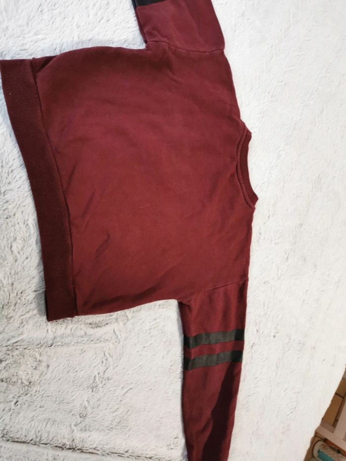 Sweat court - photo numéro 3