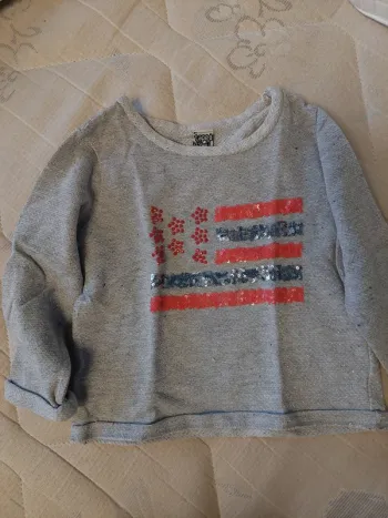 Lot 2 pulls filles très bon état