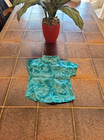 Chemise manches courtes