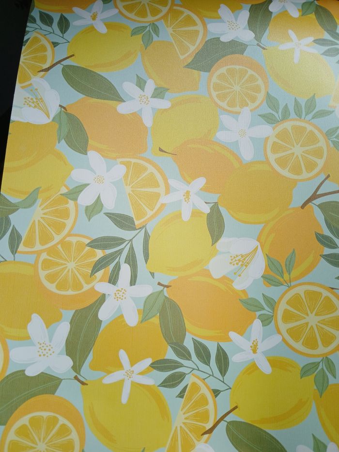 Sets de table citron - photo numéro 2