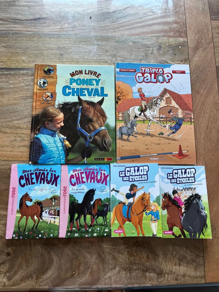 Lot livres thème chevaux/équitation