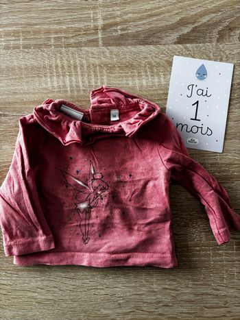 Tee shirt fée clochette DISNEY t.1m