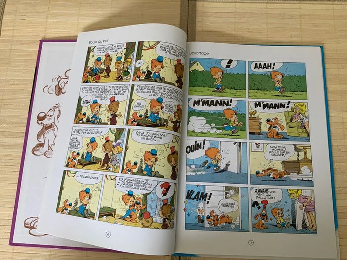 Boule et Bill: ce coquin de cocker - photo numéro 2