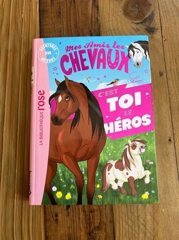 Livre mes amis les chevaux