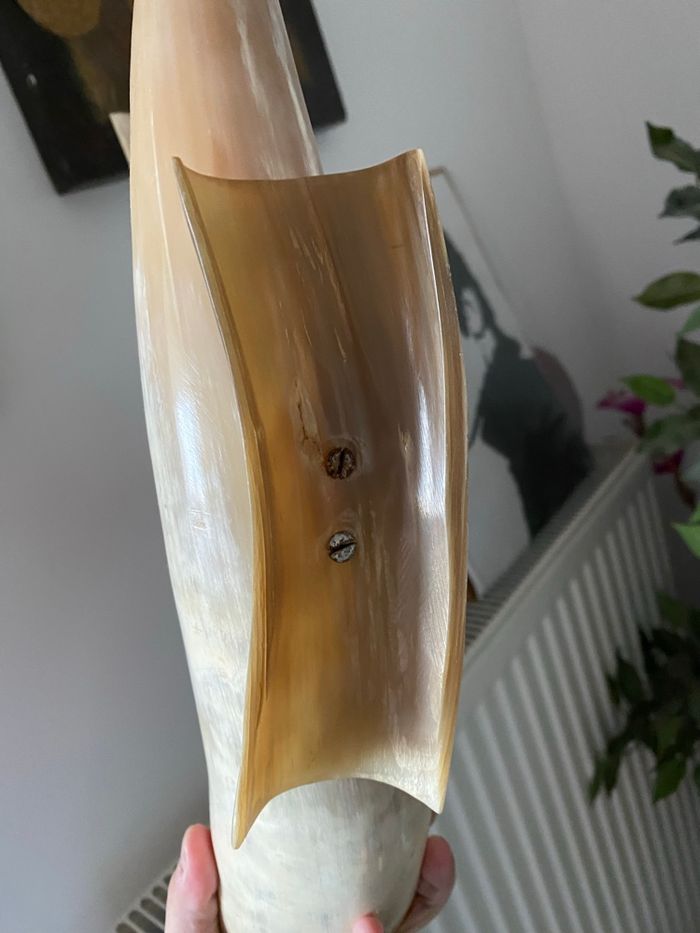 Décoration en corne - photo numéro 3