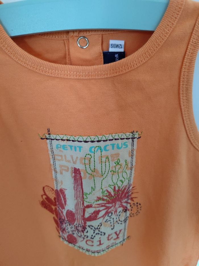 Barboteuse sergent major - photo numéro 2